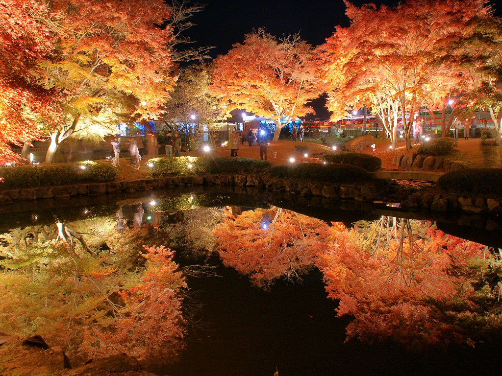 曽木公園もみじまつり♪