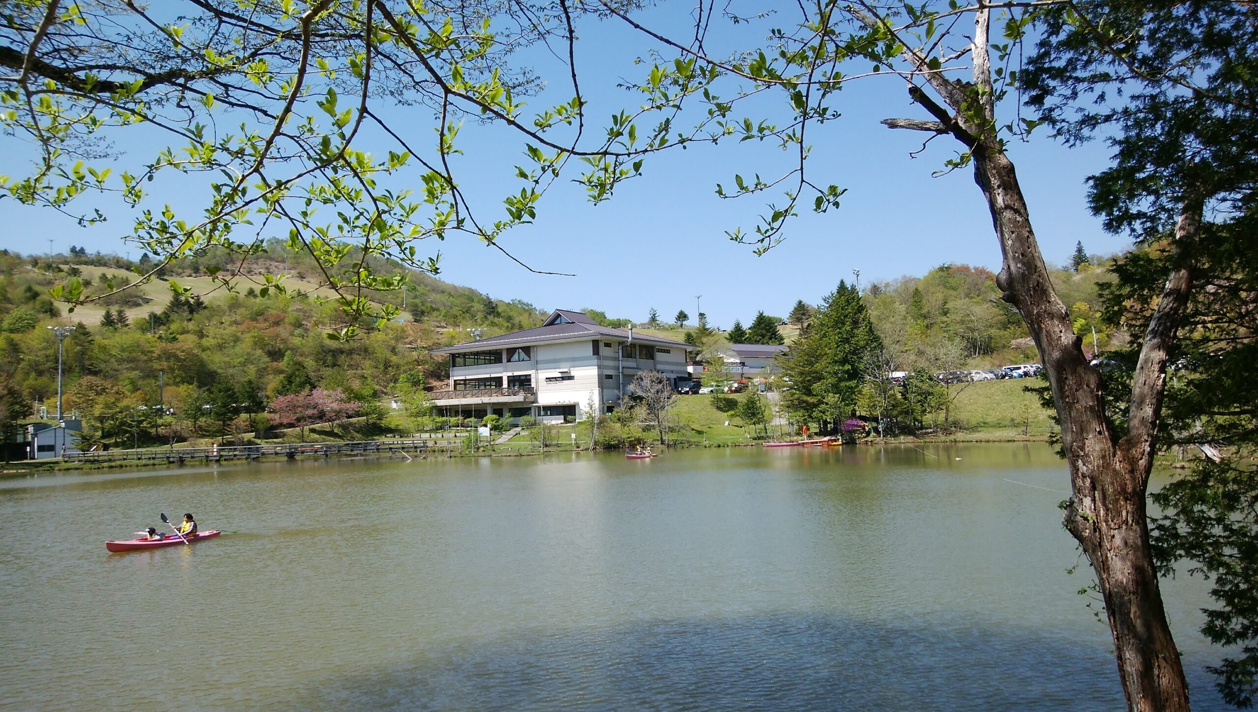 意外と近い❓茶臼山高原！